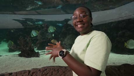 Het Klokhuis | Zeeaquarium